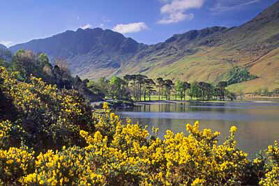Sp21_Buttermere in Spring