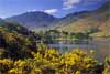 Sp21_Buttermere in Spring