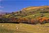 5375_Autumn in Swaledale