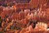 4615 Early Light, Bryce Canyon
