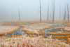 0992_Tangle Creek Mists