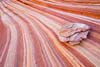 1861_Rock Waves, South Coyote Buttes